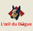 L'œil du Dogue