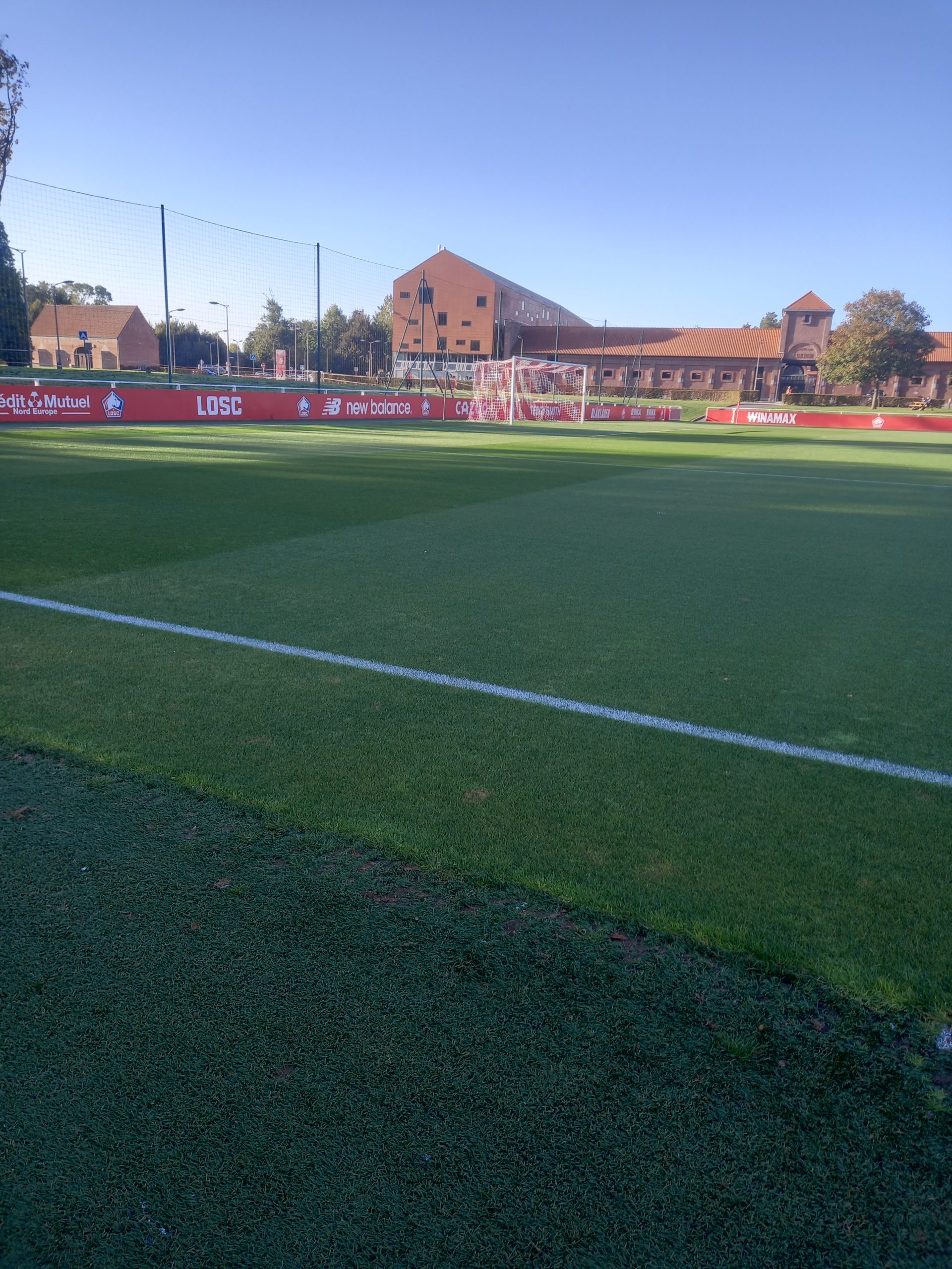 Hambourg SV - LOSC